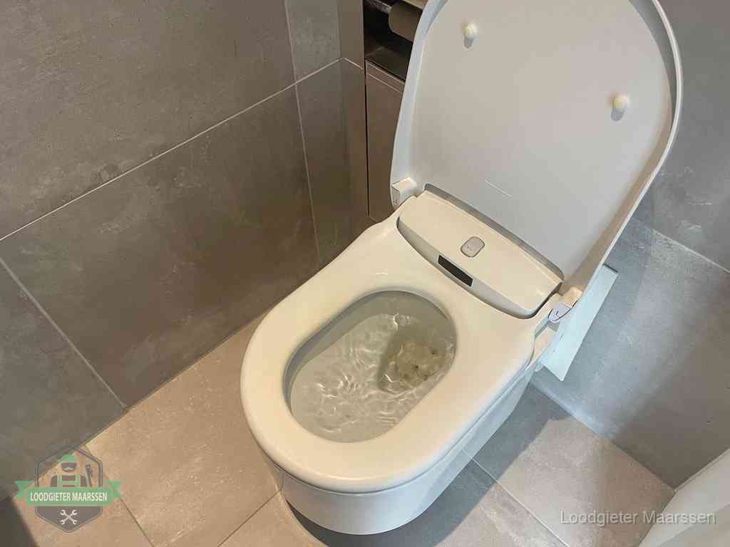 Wc Verstopt In Maarssen Wc Verstopt In Maarssen